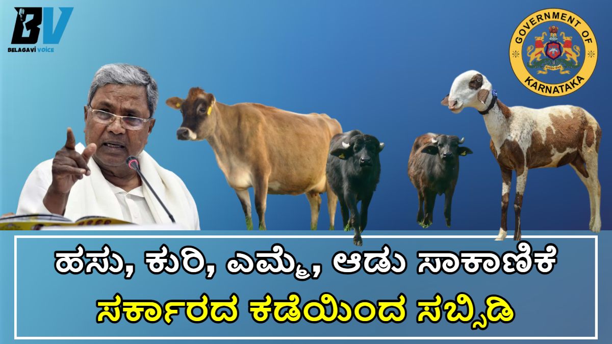 ಹಸು, ಕುರಿ, ಎಮ್ಮೆ, ಆಡು ಸಾಕಾಣಿಕೆ ಸಾಲ ಸಬ್ಸಿಡಿ!! ಸರ್ಕಾರದ ಕಡೆಯಿಂದ ಹೊಸ ಯೋಜನೆ