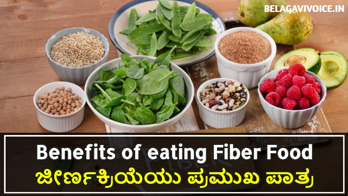 ಫೈಬರ್ ಅಂಶವಿರುವ ಆಹಾರವನ್ನು ಸೇವಿಸುವುದರಿಂದ ಆಗುವ ಪ್ರಯೋಜನಗಳೇನು?
