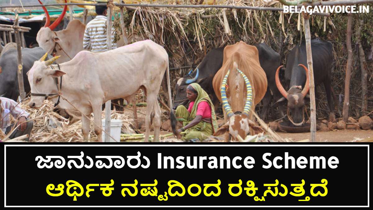 ಜಾನುವಾರು Insurance Scheme Kannada