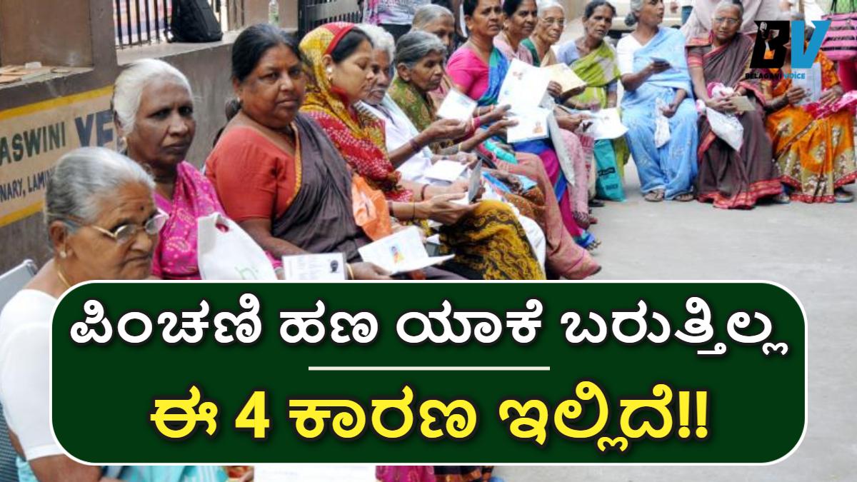 ಈ 4 ಕಾರಣದಿಂದ ಪಿಂಚಣಿ ಹಣ ಬಂದಿರುವುದಿಲ್ಲ.! ಕಾರಣಗಳ ಬಗ್ಗೆ ಇಲ್ಲಿದೆ ಮಾಹಿತಿ!