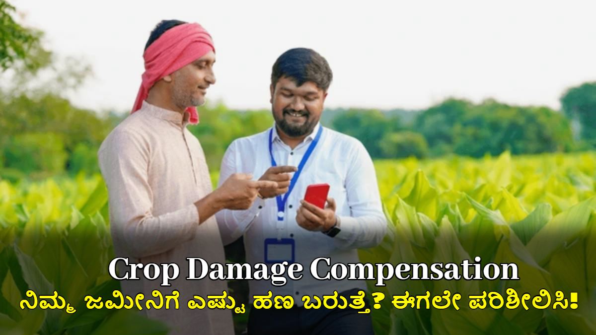 ಬೆಳೆಹಾನಿ ಪರಿಹಾರ: ನಿಮ್ಮ ಜಮೀನಿಗೆ ಎಷ್ಟು ಹಣ ಬರುತ್ತೆ? ಈಗಲೇ ಪರಿಶೀಲಿಸಿ!