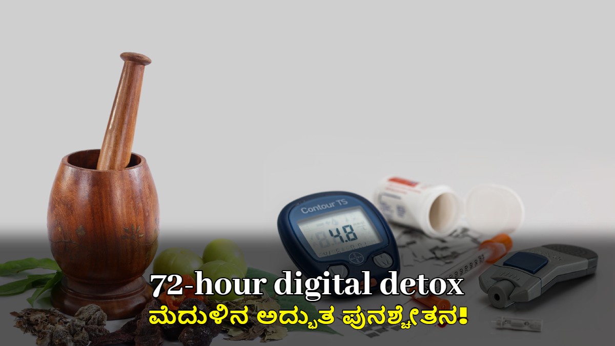 72 ಗಂಟೆಗಳ ಡಿಜಿಟಲ್ ಡಿಟಾಕ್ಸ್: ಮೆದುಳಿನ ಅದ್ಭುತ ಪುನಶ್ಚೇತನ!