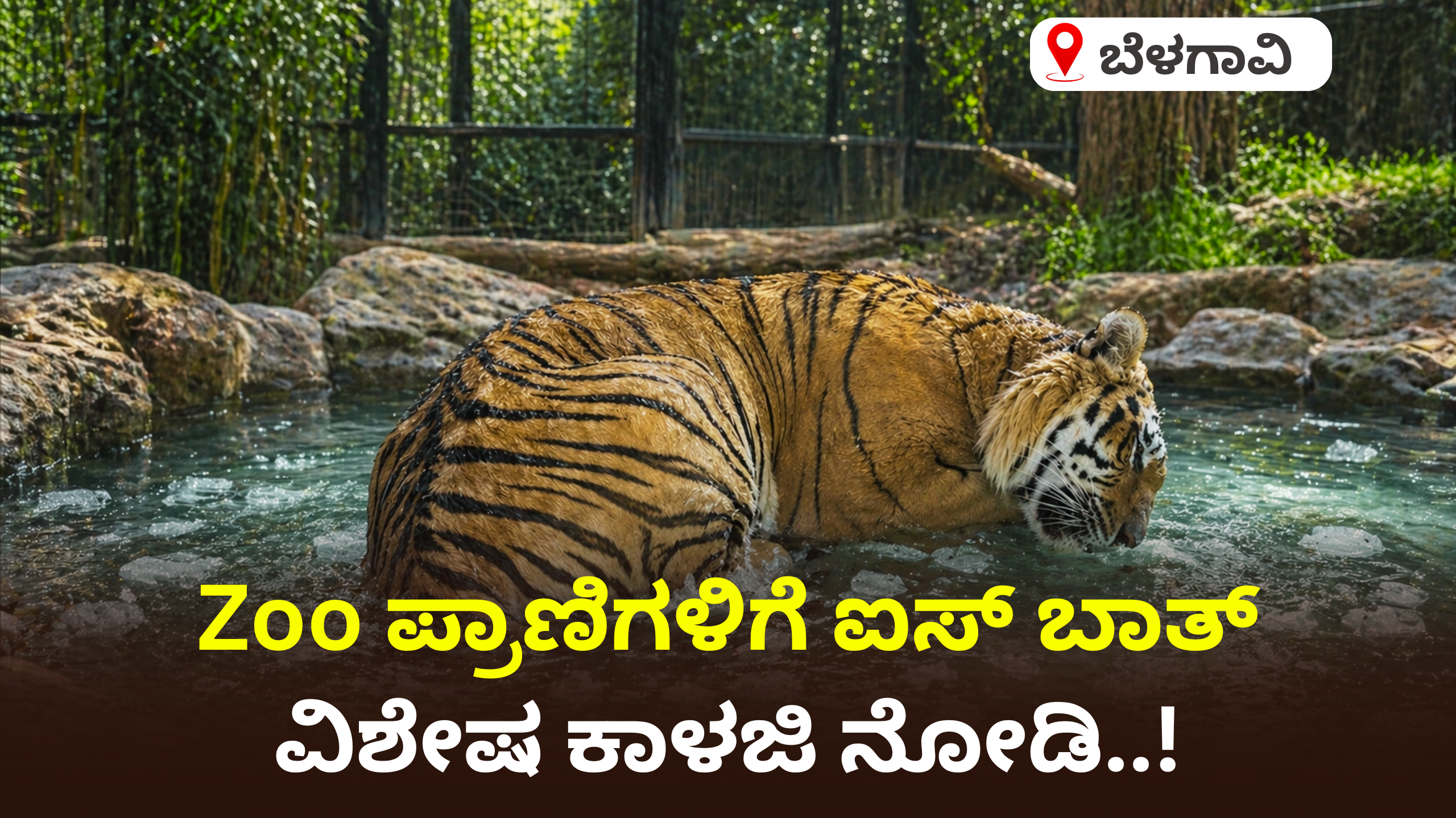 ಬೆಳಗಾವಿ ಮೃಗಾಲಯದ ಪ್ರಾಣಿಗಳಿಗೆ ಐಸ್ ಬಾತ್
